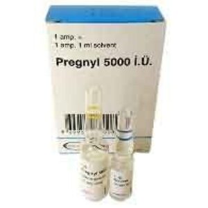 Pregnyl 5000 GR Organon